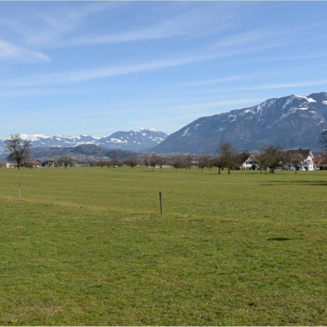 Schönes Bauland für Wohnbauprojekte.